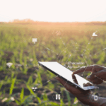 Agricultor utilizando tablet em lavoura com recursos digitais, simbolizando o uso de georreferenciamento integrado ao ERP na gestão de safra no agronegócio.